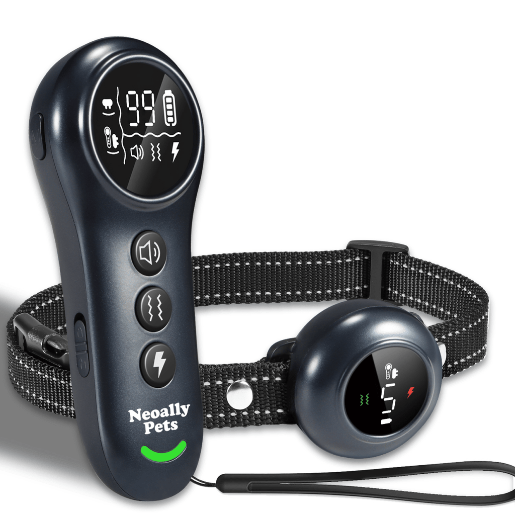 2-in-1 Smart Training & Bark Control Collar | Rechargeable, Waterproof | For Dogs 5–150 lbs