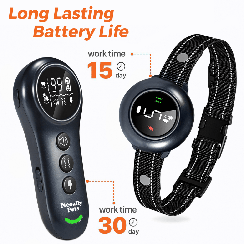 2-in-1 Smart Training & Bark Control Collar | Rechargeable, Waterproof | For Dogs 5–150 lbs