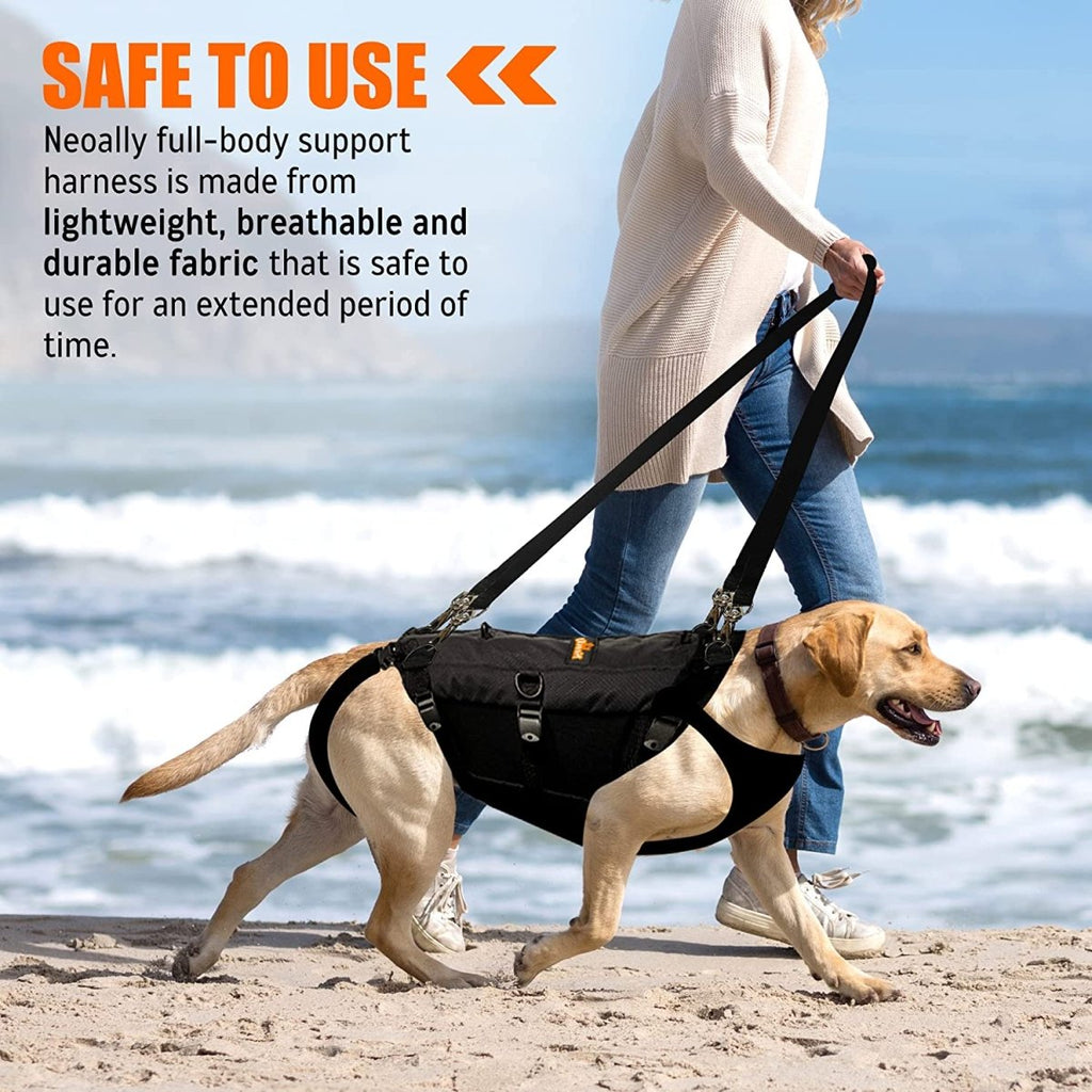 The Steadfast Support Harness