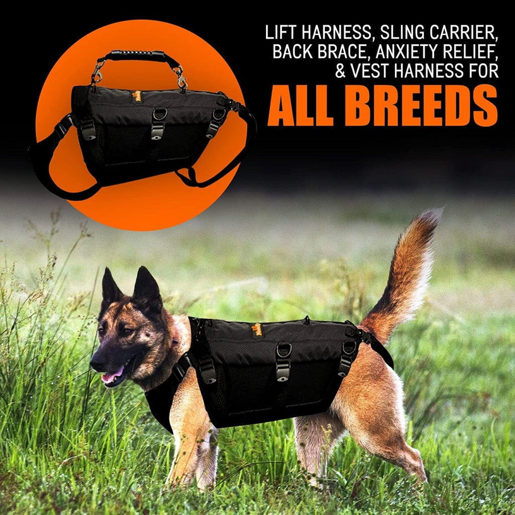 The Steadfast Support Harness