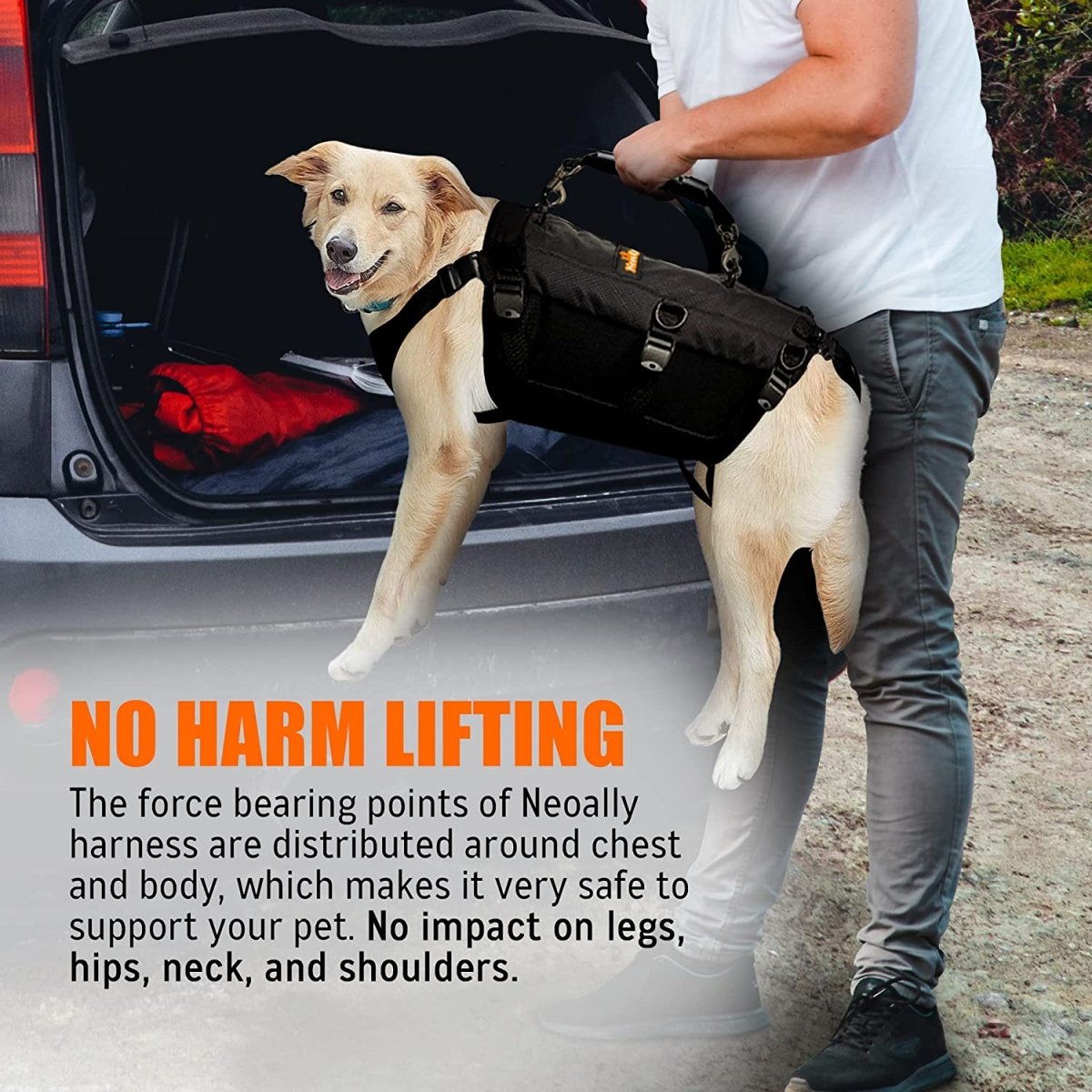 The Steadfast Support Harness