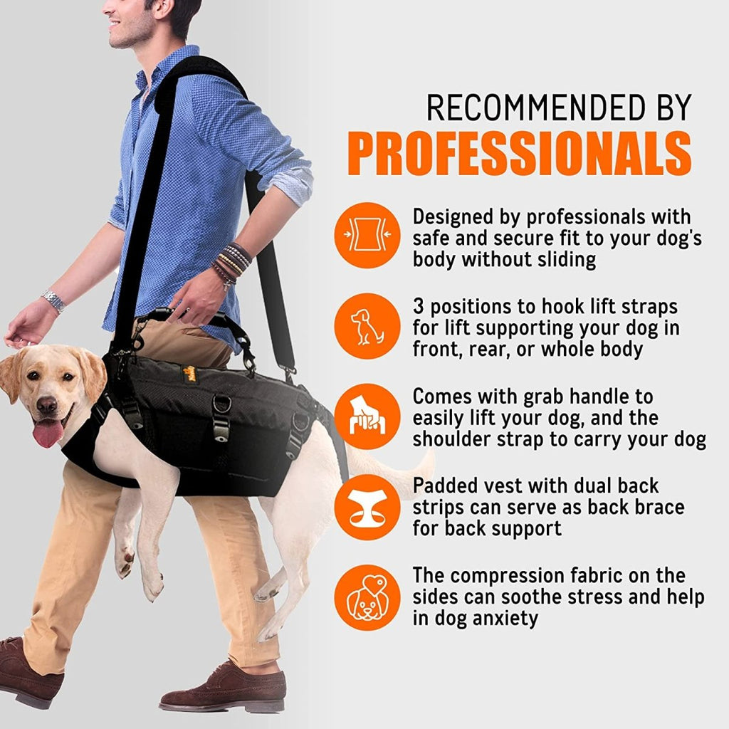 The Steadfast Support Harness