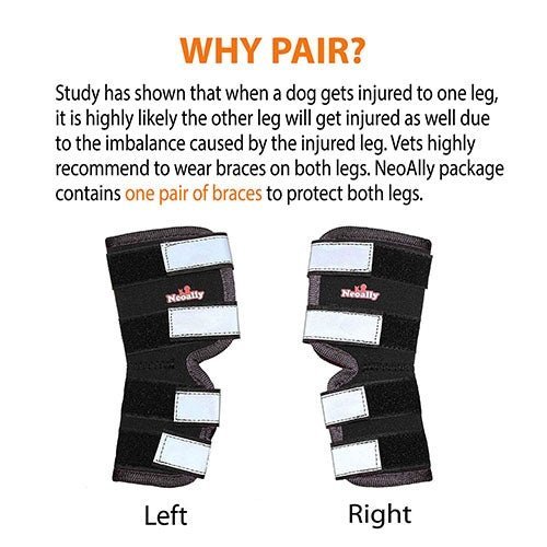 NeoAlly® Dog Rear Leg Hock Brace for Large Dogs — Vet-Approved Support & Pain Relief