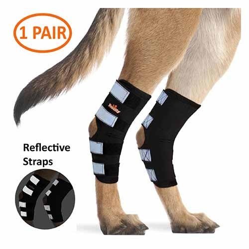 NeoAlly® Dog Rear Leg Hock Brace for Large Dogs — Vet-Approved Support & Pain Relief