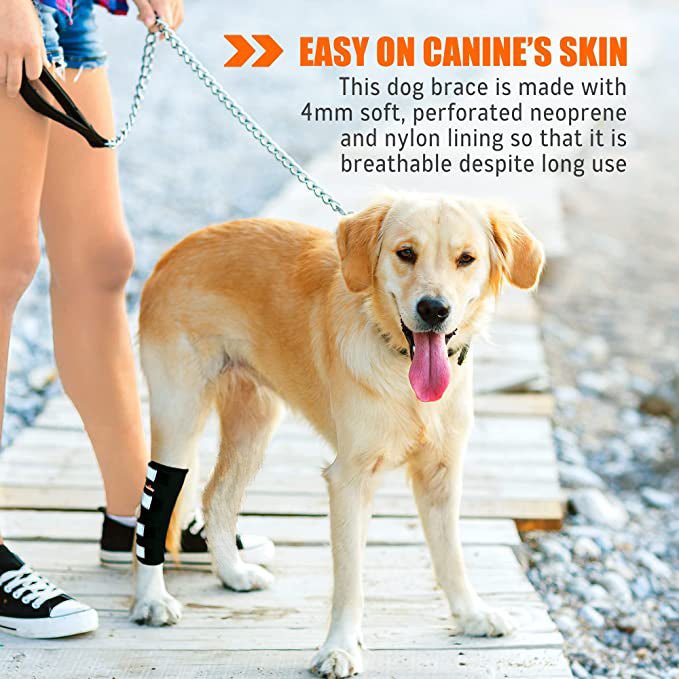 NeoAlly® Dog Rear Leg Hock Brace for Large Dogs — Vet-Approved Support & Pain Relief