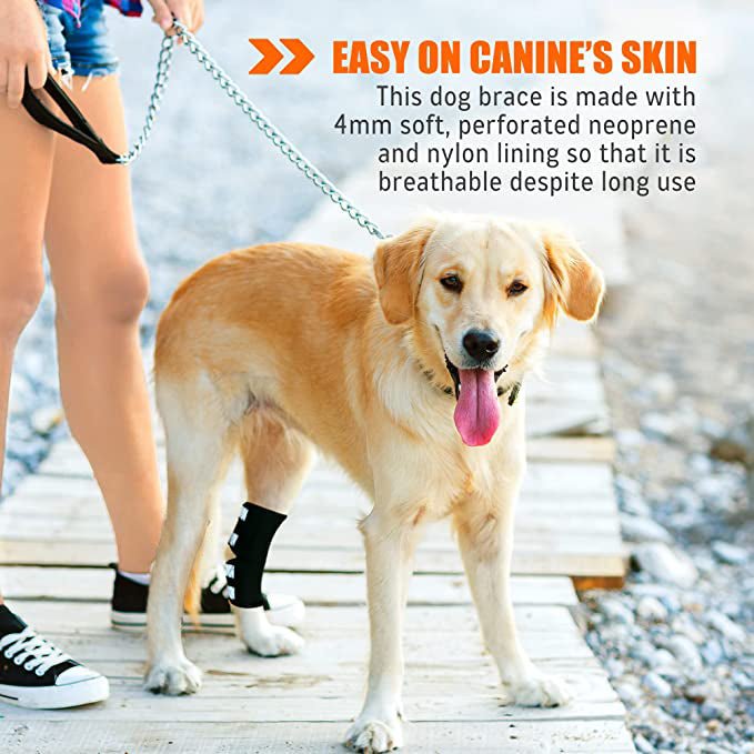 NeoAlly® Dog Rear Leg Hock Brace for Large Dogs — Vet-Approved Support & Pain Relief