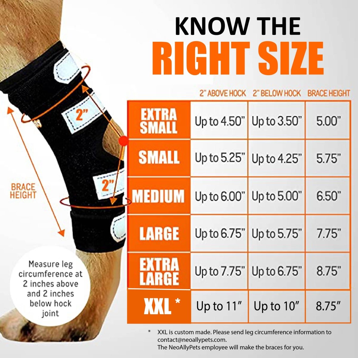 NeoAlly® Dog Rear Leg Hock Brace for Large Dogs — Vet-Approved Support & Pain Relief