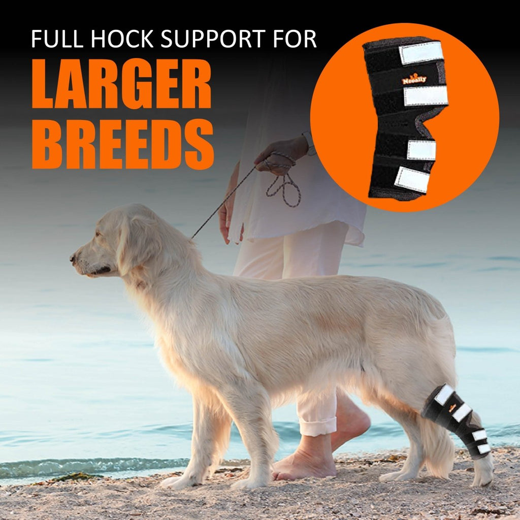 NeoAlly® Dog Rear Leg Hock Brace for Large Dogs — Vet-Approved Support & Pain Relief