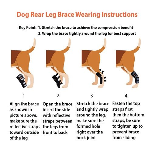 NeoAlly® Dog Rear Leg Hock Brace for Large Dogs — Vet-Approved Support & Pain Relief