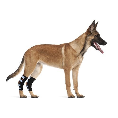 NeoAlly® Dog Rear Leg Hock Brace for Large Dogs — Vet-Approved Support & Pain Relief