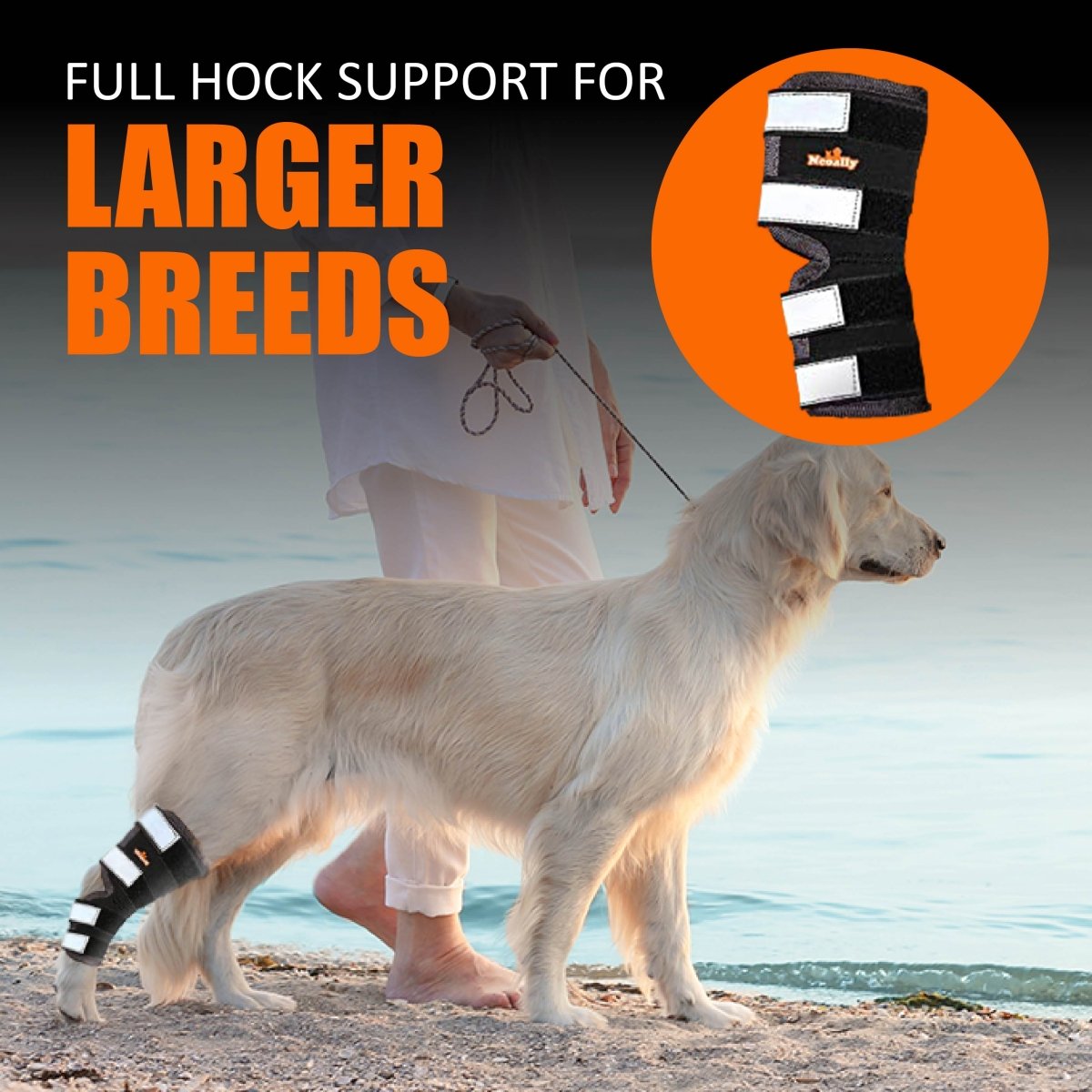 NeoAlly® Dog Rear Leg Hock Brace for Large Dogs — Vet-Approved Support & Pain Relief