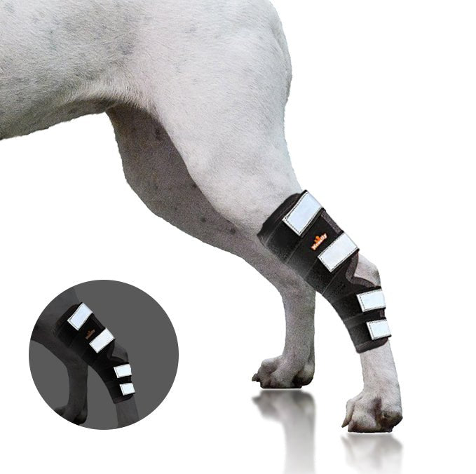NeoAlly® Dog Rear Leg Hock Brace for Large Dogs — Vet-Approved Support & Pain Relief