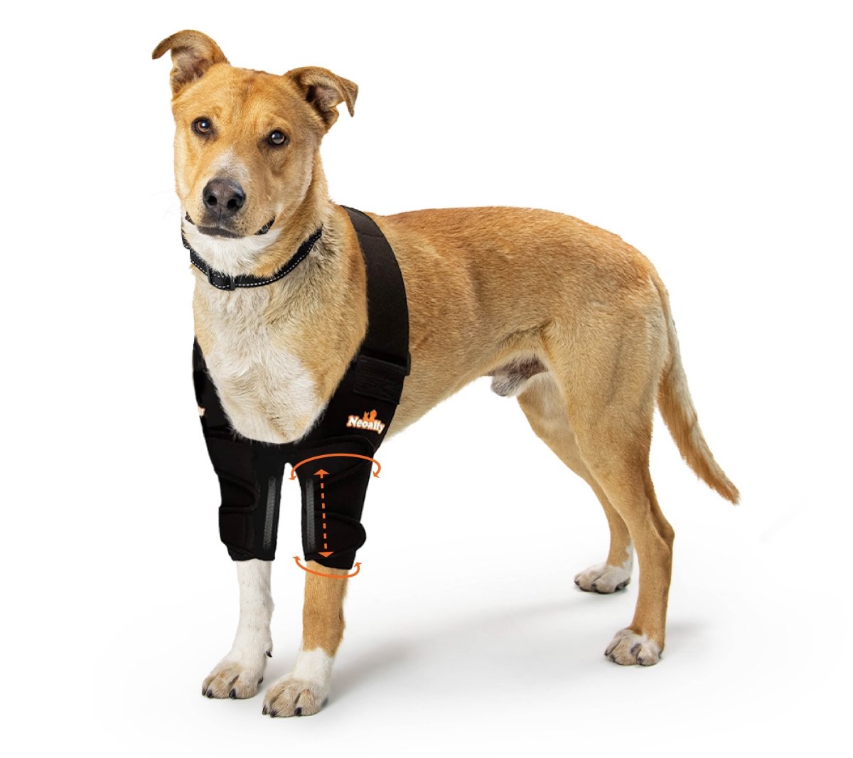 NeoAlly Elbow & Shoulder Brace with Spring Inserts for Dogs & Cats