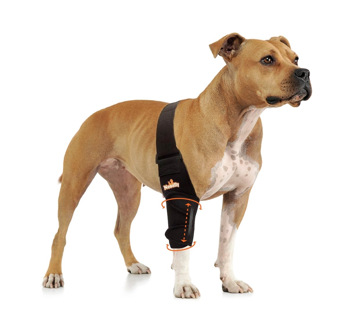 NeoAlly Elbow & Shoulder Brace with Spring Inserts for Dogs & Cats