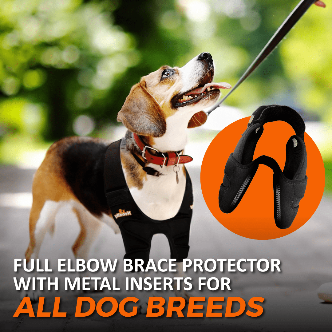 NeoAlly Elbow & Shoulder Brace with Spring Inserts for Dogs & Cats