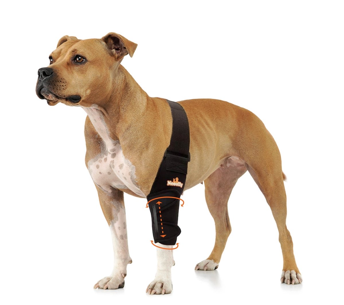 NeoAlly Elbow & Shoulder Brace with Spring Inserts for Dogs & Cats