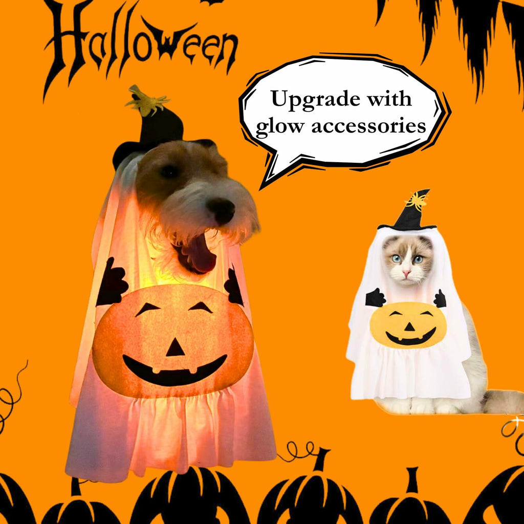 Little Boo Pumpkin Ghost Costume for Dogs & Cats | Medium