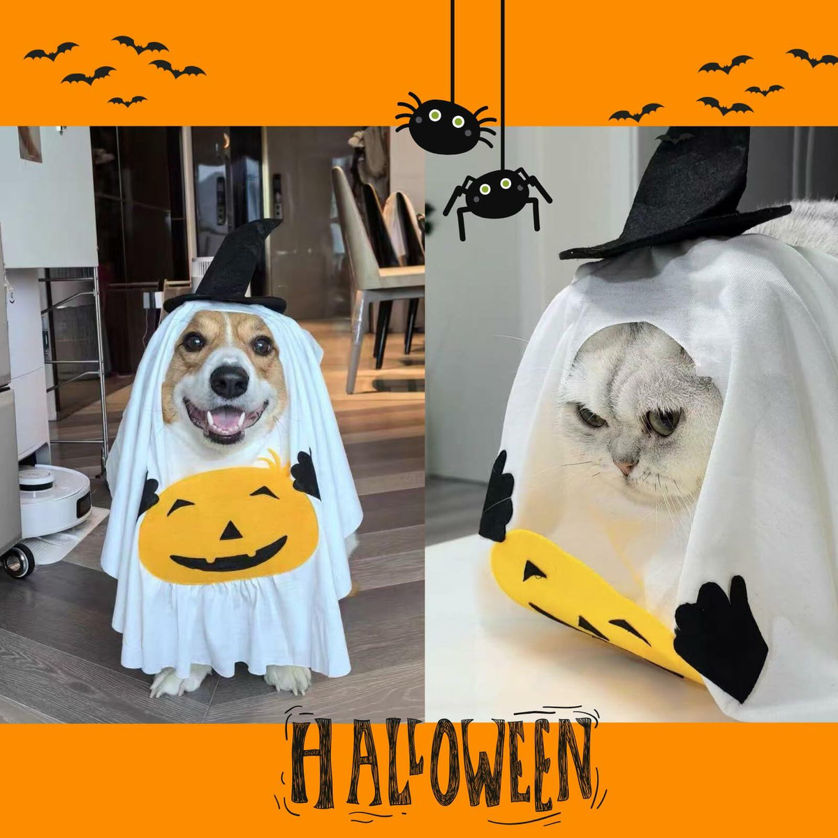 Little Boo Pumpkin Ghost Costume for Dogs & Cats | Medium