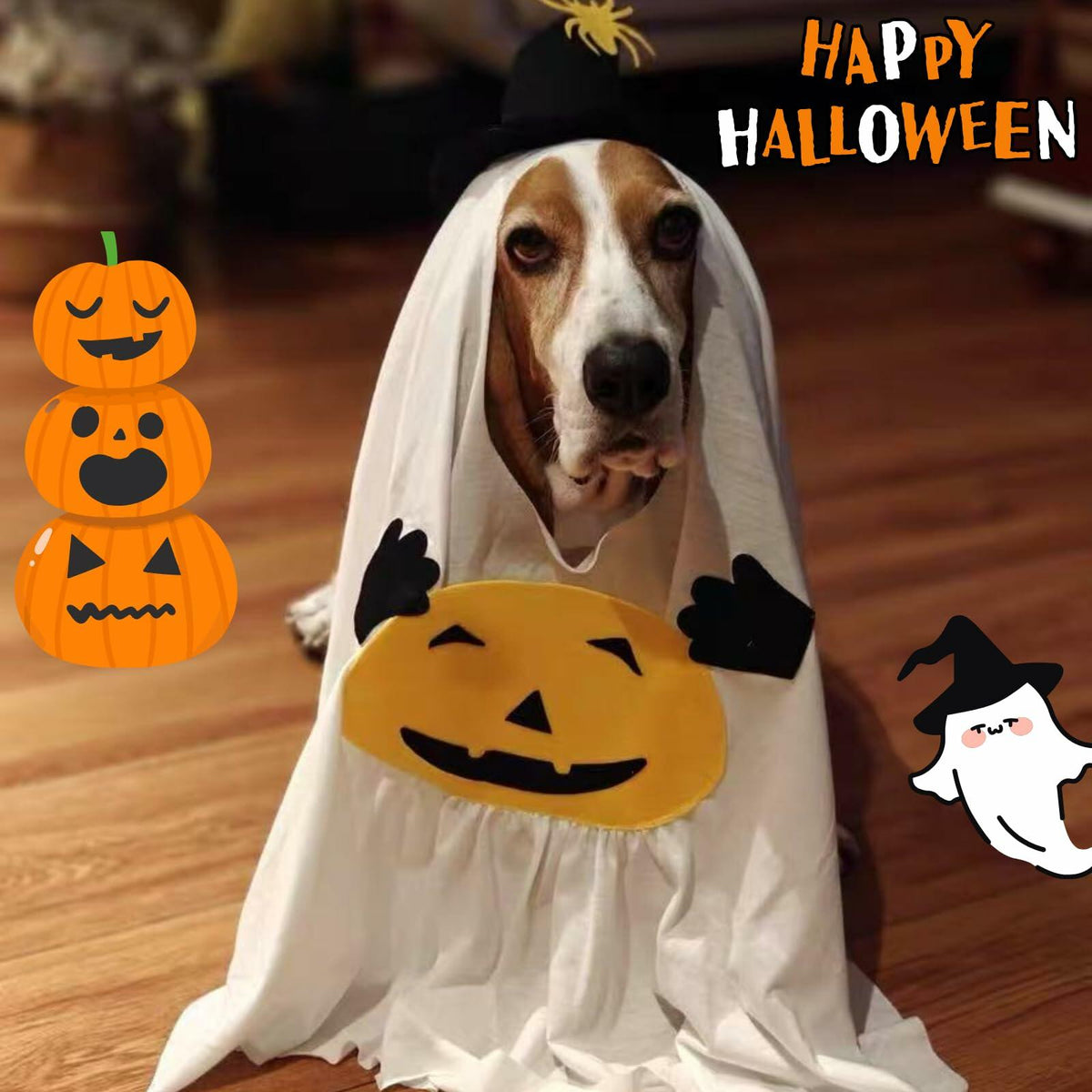 Little Boo Pumpkin Ghost Costume for Dogs & Cats | Medium