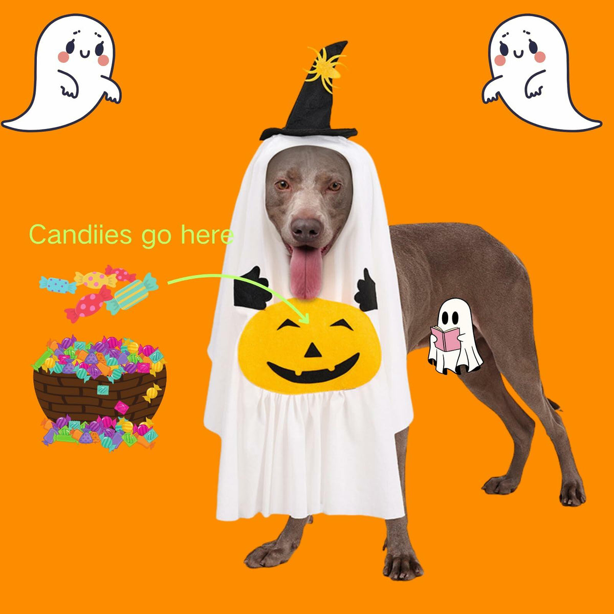 Little Boo Pumpkin Ghost Costume for Dogs & Cats | Medium