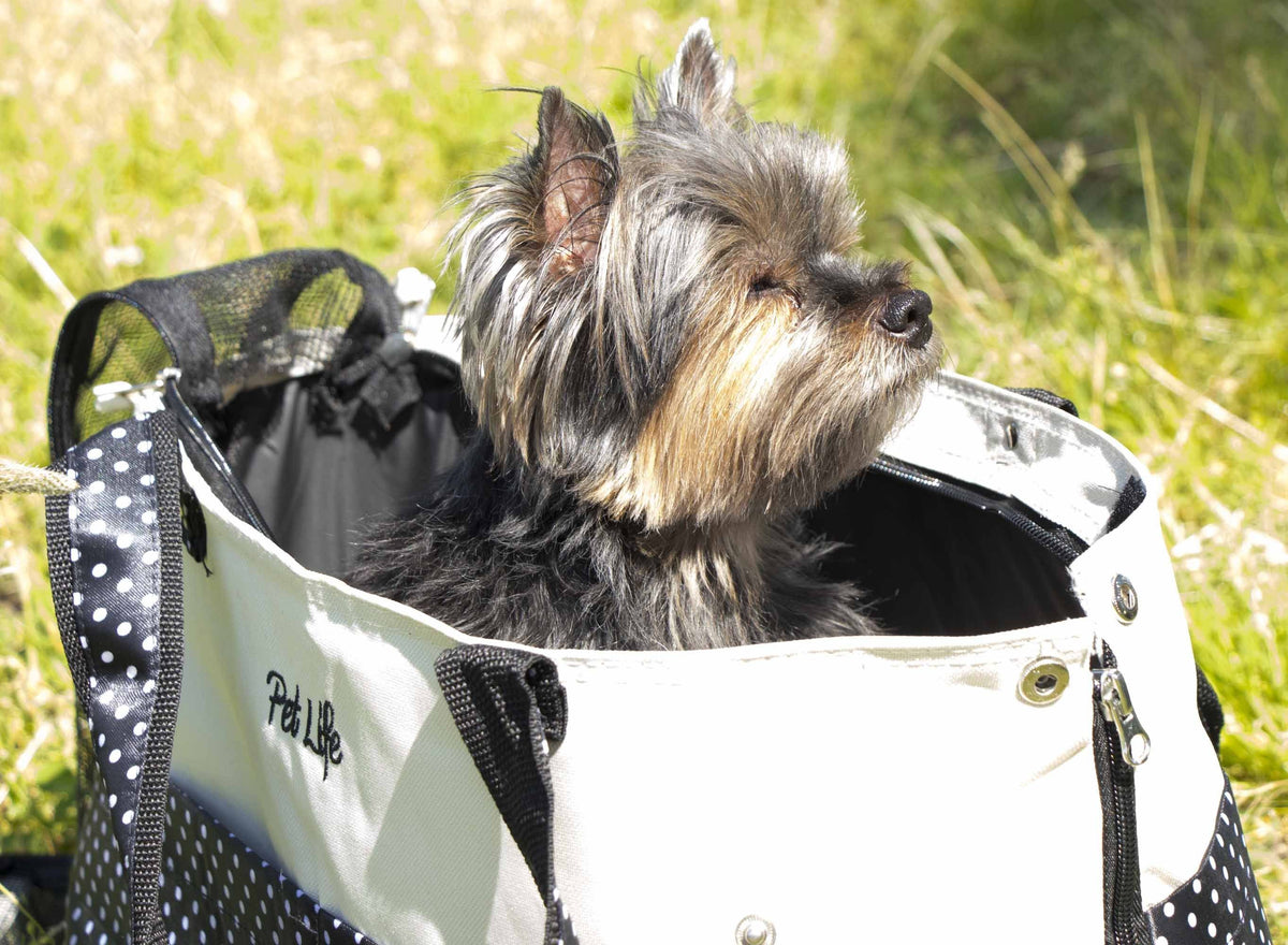 Spotted Fashion Tote Pet Carrier | Designer Travel Bag | Up to 20 lbs