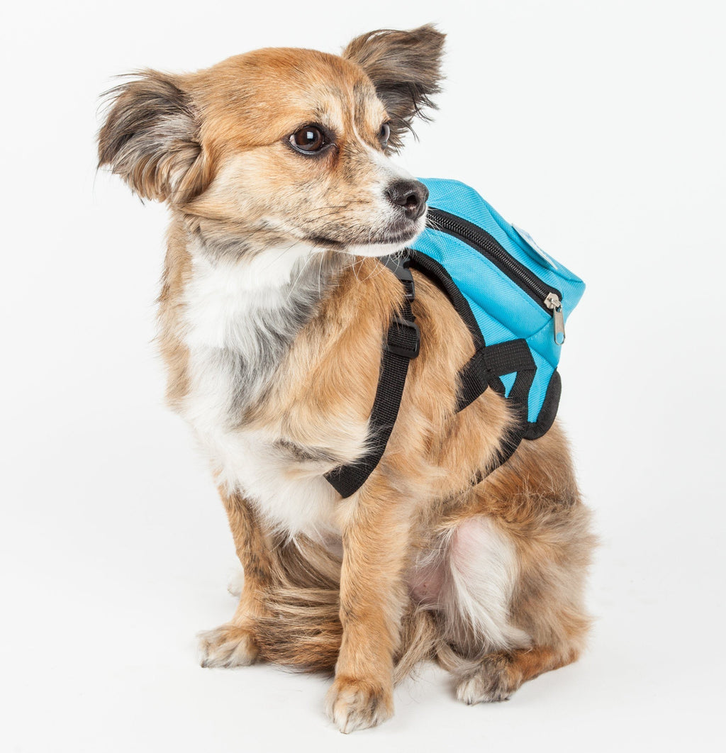 Penguin Dog Harness Backpack | Pocketed Fashion Harness | Small & Medium Dogs