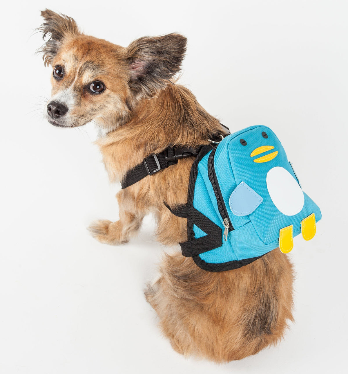 Penguin Dog Harness Backpack | Pocketed Fashion Harness | Small & Medium Dogs