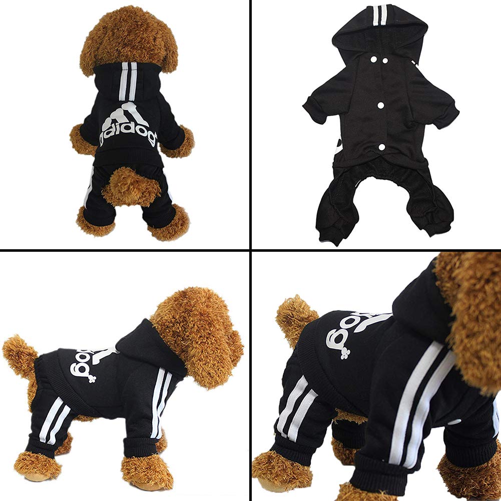 The Flauntly Paws Signature Hoodie — Cozy Four-Legged Sweatshirt for Dogs & Cats