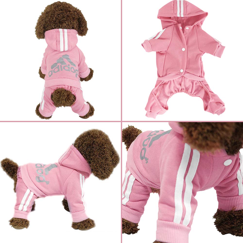 The Flauntly Paws Signature Hoodie — Cozy Four-Legged Sweatshirt for Dogs & Cats
