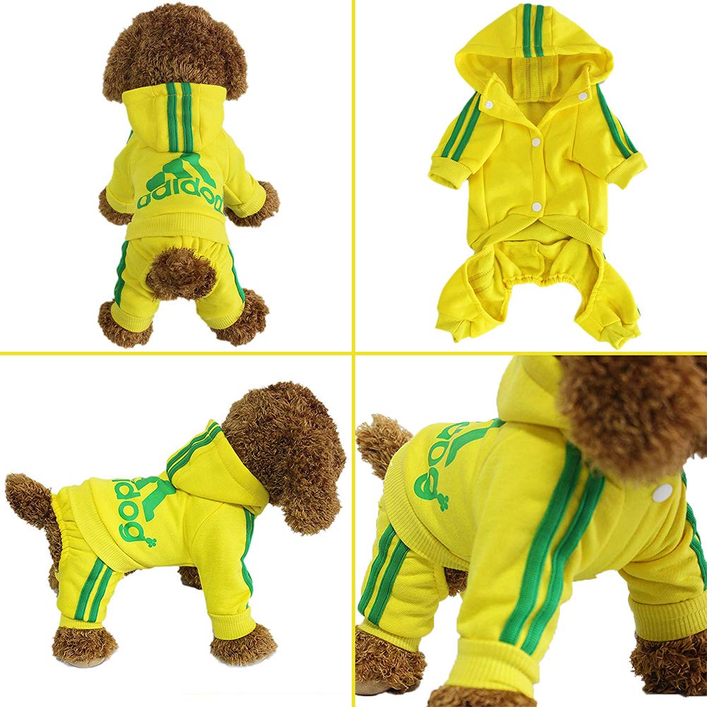 The Flauntly Paws Signature Hoodie — Cozy Four-Legged Sweatshirt for Dogs & Cats