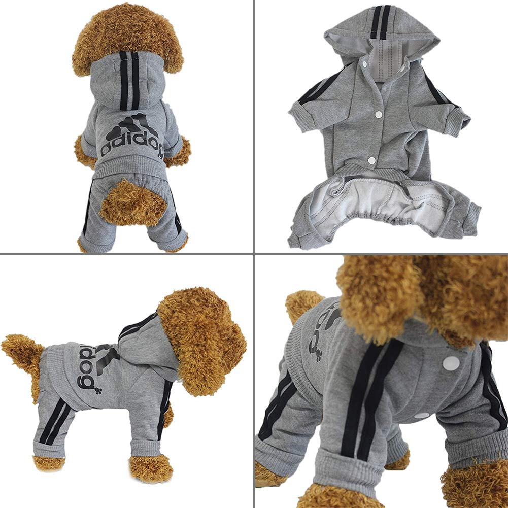 The Flauntly Paws Signature Hoodie — Cozy Four-Legged Sweatshirt for Dogs & Cats
