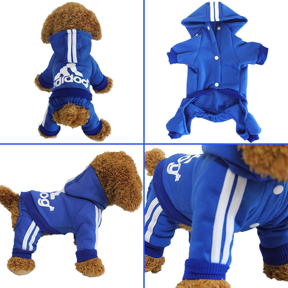 The Flauntly Paws Signature Hoodie — Cozy Four-Legged Sweatshirt for Dogs & Cats