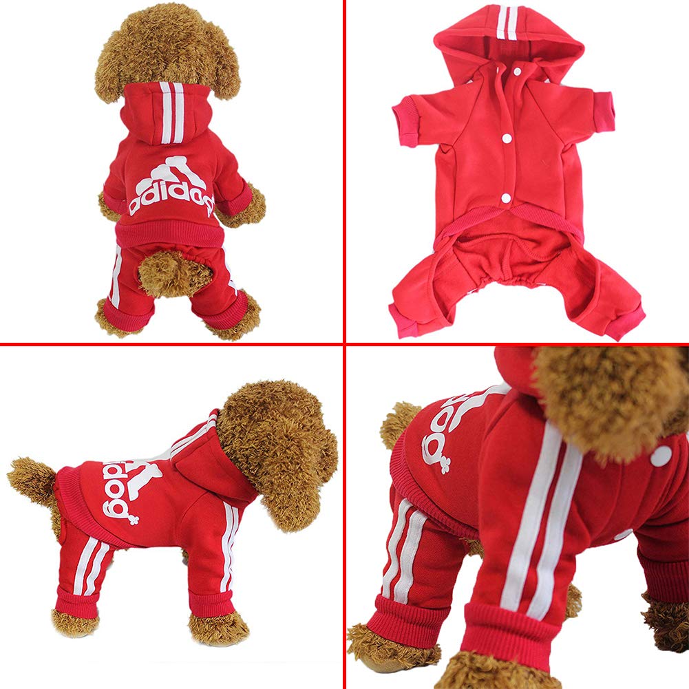The Flauntly Paws Signature Hoodie — Cozy Four-Legged Sweatshirt for Dogs & Cats