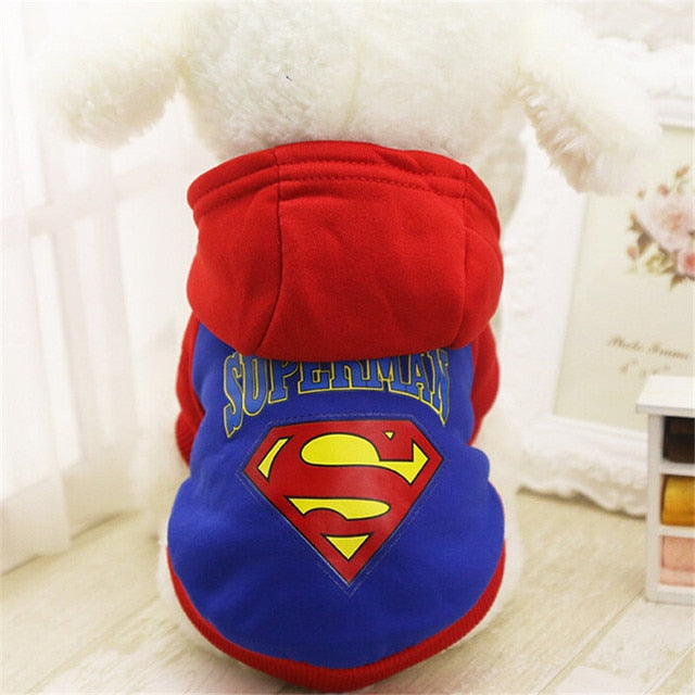 Character Hoodie Sweater