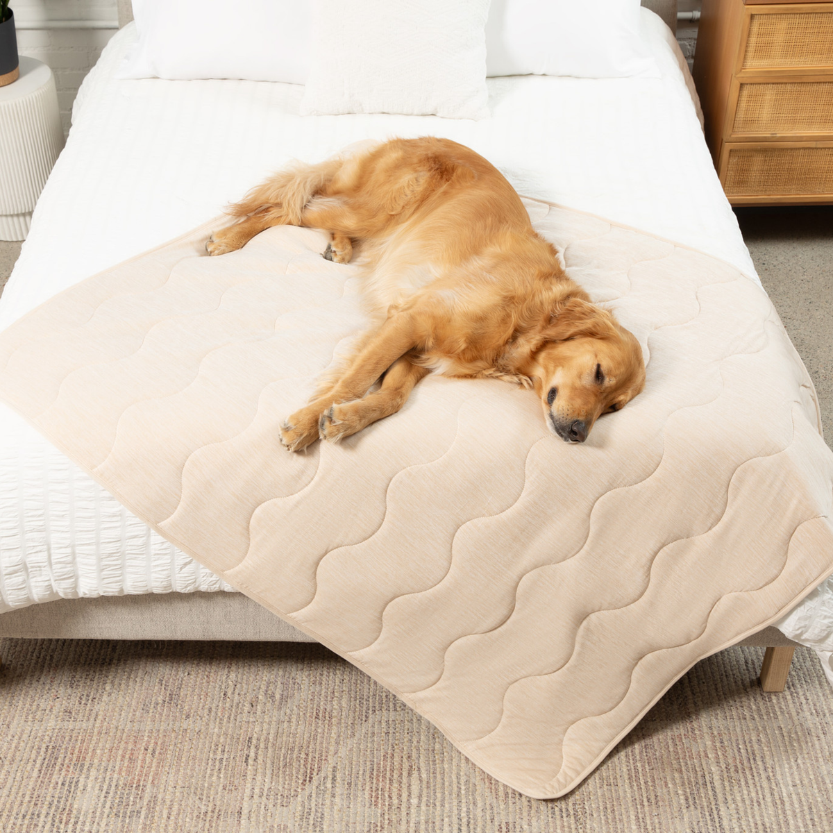PupChill™ Cooling Waterproof Dog Blanket — Arctic Sand