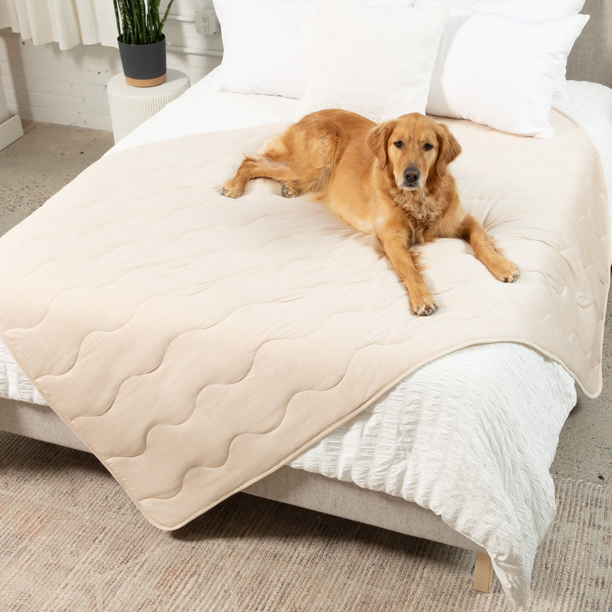 PupChill™ Cooling Waterproof Dog Blanket — Arctic Sand