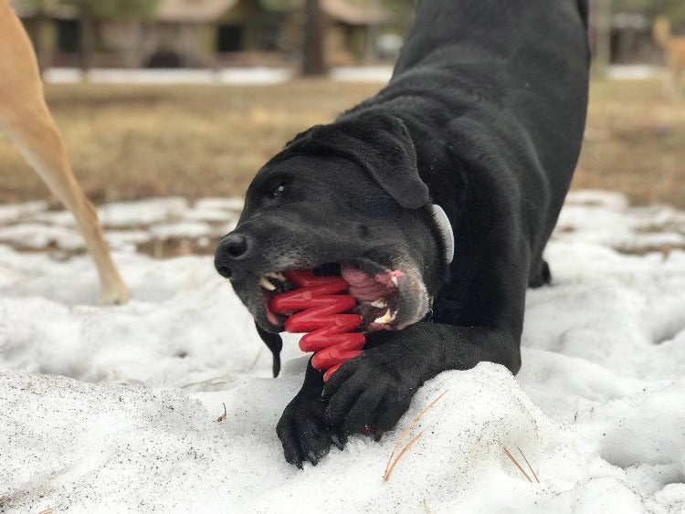 Christmas Tree Nylon Chew Toy