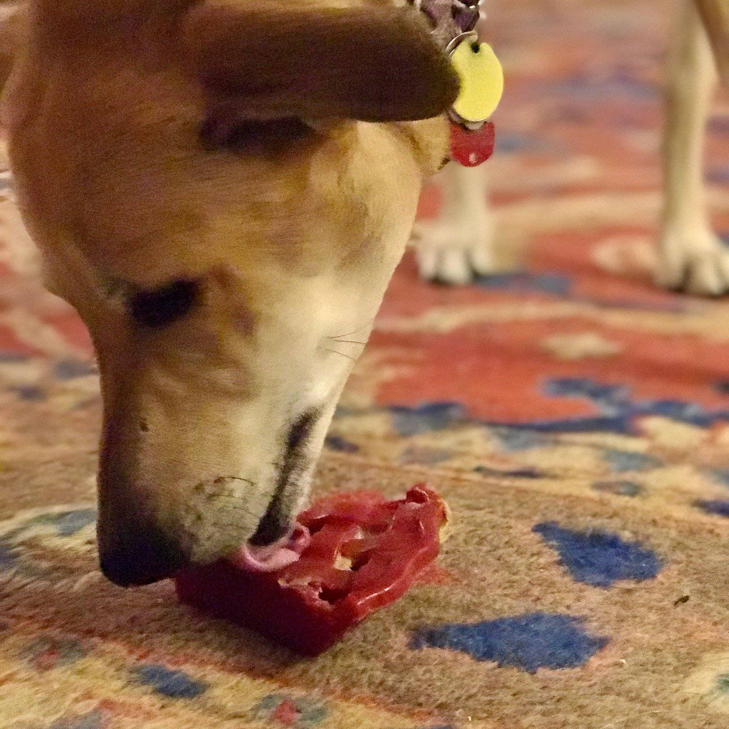 SodaPup Cherry Pie Nylon Dog Chew Toy — USA Made for Aggressive Chewers