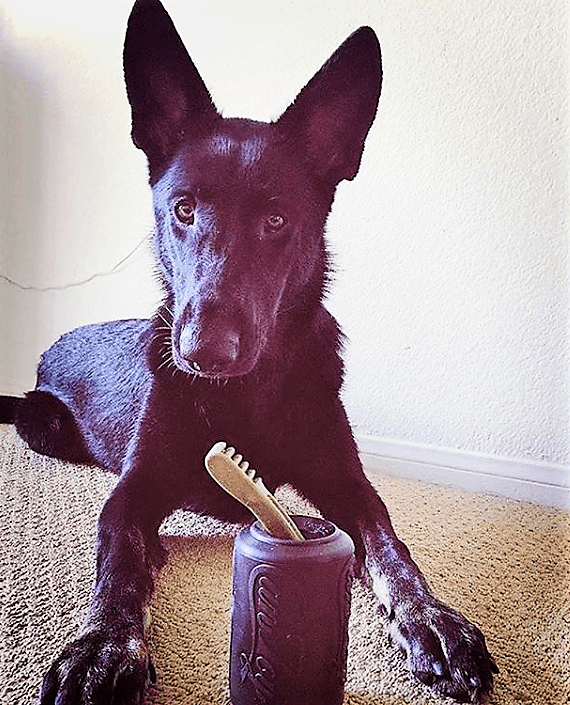 SodaPup Magnum Can Toy | Durable Rubber Chew Toy & Treat Dispenser | USA Made | For Extreme Chewers