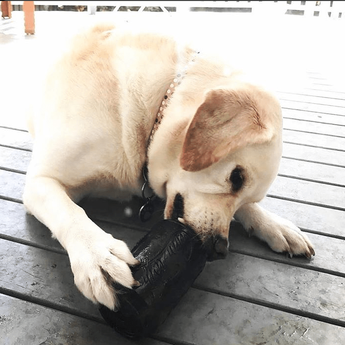 SodaPup Magnum Can Toy | Durable Rubber Chew Toy & Treat Dispenser | USA Made | For Extreme Chewers