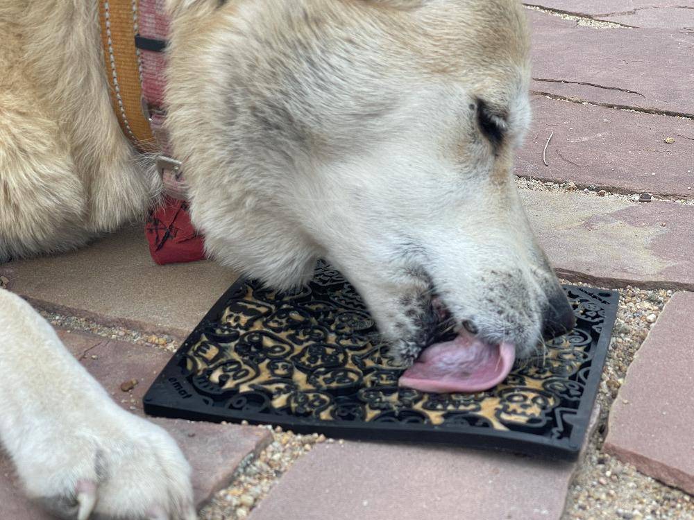 SodaPup Zombie eMat — Halloween Enrichment Lick Mat for Dogs & Cats