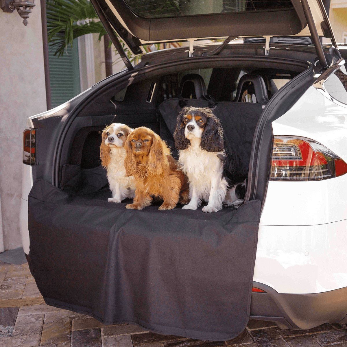 PupProtector™ Waterproof Cargo Liner – Universal Fit for SUVs & Cars
